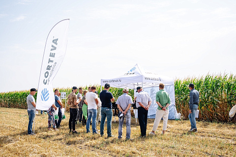 Corteva Agriscience обучит аграриев региона Волга-Урал возделыванию кукурузы и подсолнечника по технологии No-till